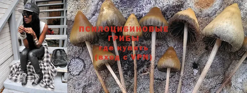 hydra вход  Балтийск  Псилоцибиновые грибы GOLDEN TEACHER  купить наркоту 